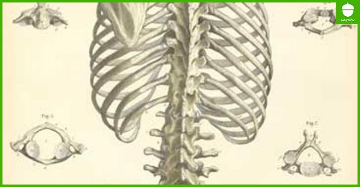 Не пропустите! Главный секрет здорового позвоночника
