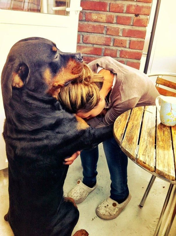 Собаки, обнимающие людей