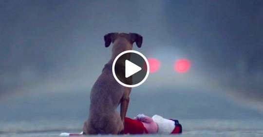 «Подарок» — видео, которое заставило наше сердце сжаться