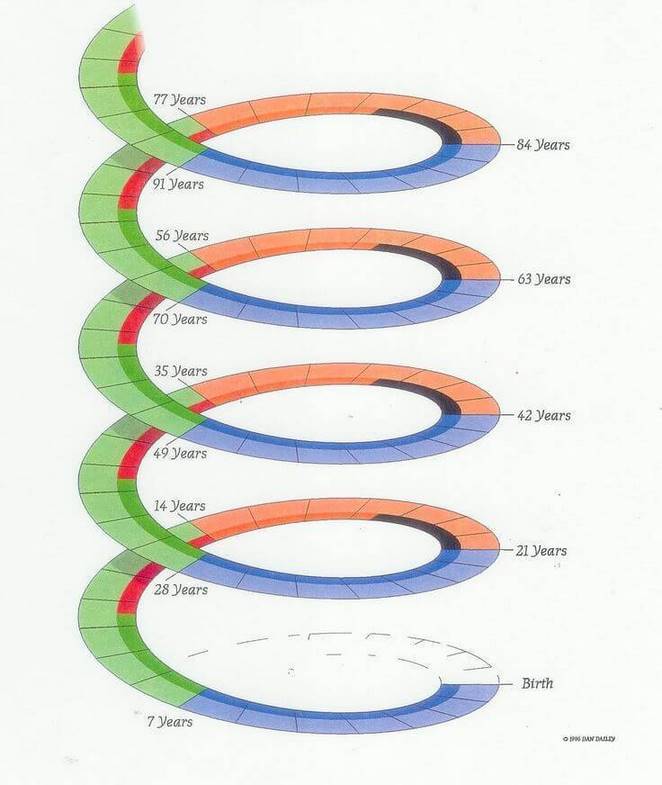 Семилетние циклы жизни человека