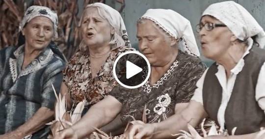 Молдавские фермеры сняли видеоклип, в котором перепели песню Queen «Show Must...