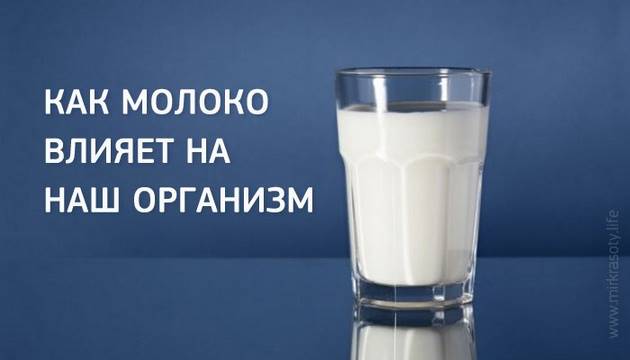 Как молоко влияет на организм человека