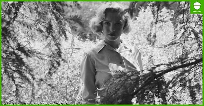 Вот редкие фото Мэрилин Монро в лесу до того, как она стала знаменитой
