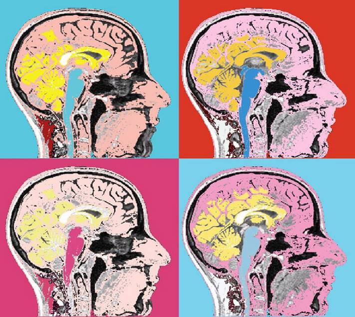 Иллюзии мозга: Когнитивные искажения из за переизбытка информации