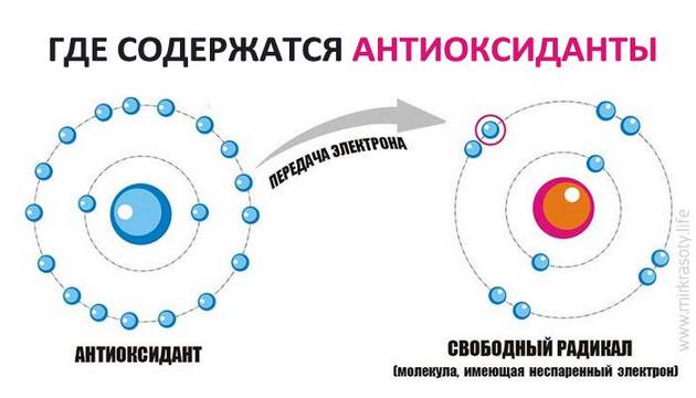 В каких продуктах больше всего антиоксидантов