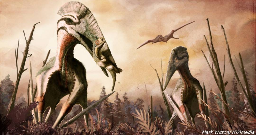 В Румынии нашли кости летающих динозавров, которые были размером с дом! 