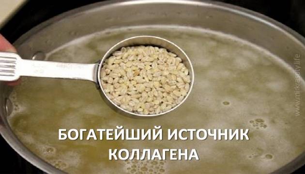 Богатейший источник коллагена