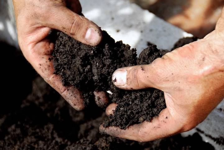 Как узнать тип почвы, и зачем это нужно