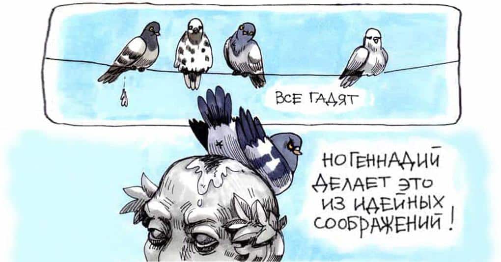 18 уморительных комиксов, которые расскажут вам о настоящем бунтаре птичьего мира