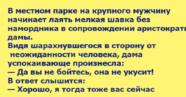 15 смешных историй из жизни собачников