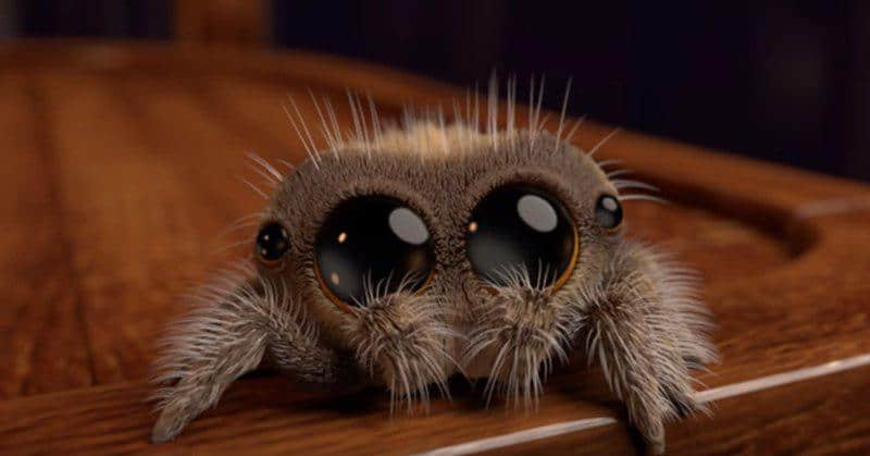 Этот милый ролик от аниматора Disney заставит вас полюбить пауков, даже если вы их до смерти боялись
