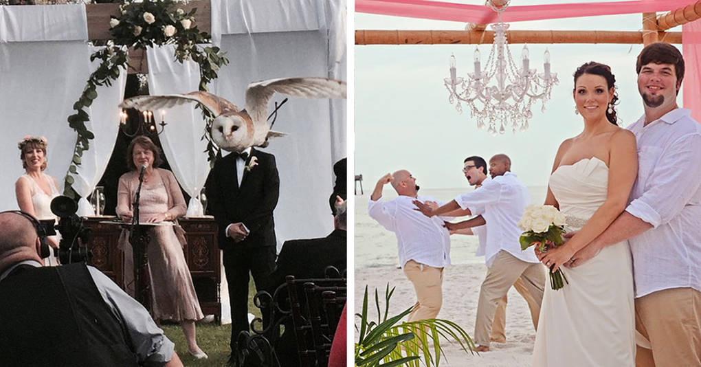 25 смешных свадебных фотографий, которые были испорчены, но это пошло им только на пользу