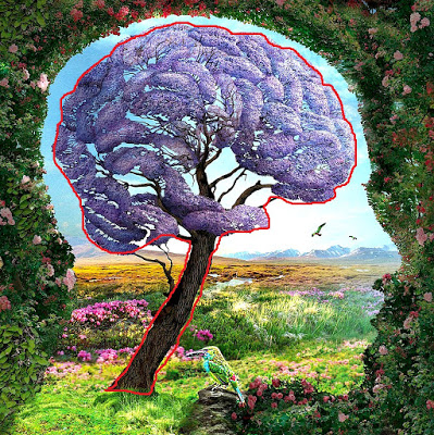 1514539147_Brain-and-Tree.jpg