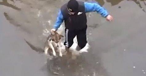 Парень спас тонущего щенка из холодной воды. Посмотрите, КАК пёс отблагодарил спасителя!