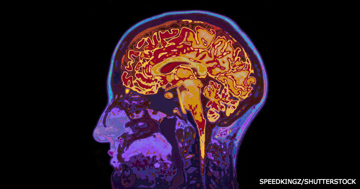 Я - нейробиолог. Вот 5 самых важных фактов о мозге, о которых я узнал за 30 лет работы