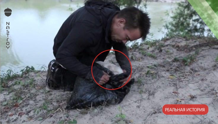 Мужчина нашел мусорный пакет на берегу реки. То, что оказалось внутри, навсегда изменило его жизнь!  