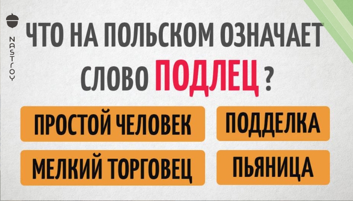Тест: Знаете ли вы происхождение распространённых русских ругательств?  