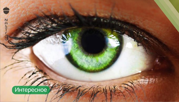 Магия зеленых глаз