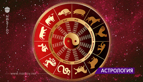 Что означает ваш китайский знак зодиака?