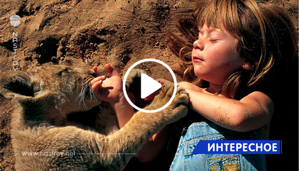 Эта девочка росла в дикой природе рядом с дикими животными…История современной девочки маугли