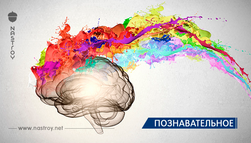 Внимание! Ученые доказали, что «ум» не ограничивается мозгом или даже телом!