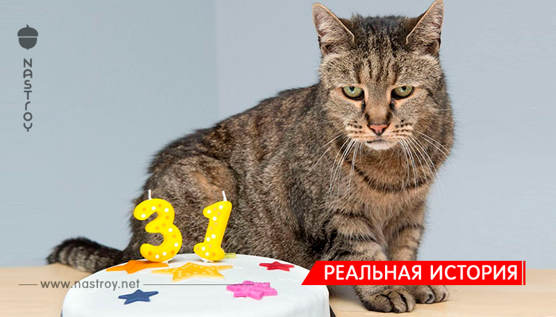 Старейший кот в мире отпраздновал 31-ый день рождения!
