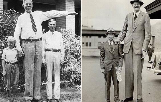 Роберт Уодлоу   самый высокий человек в мире!