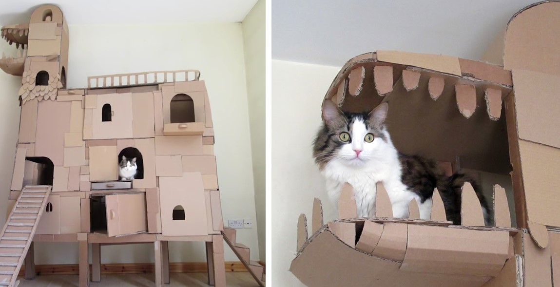 Человек построил для своего кота замок из картонных коробок в виде дракона!