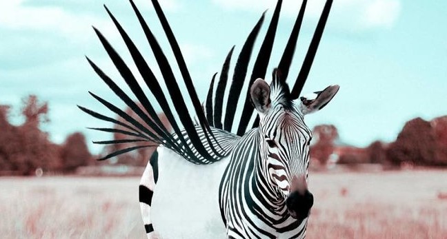 Французский художник умело использует фотошоп для создания фантастических животных!