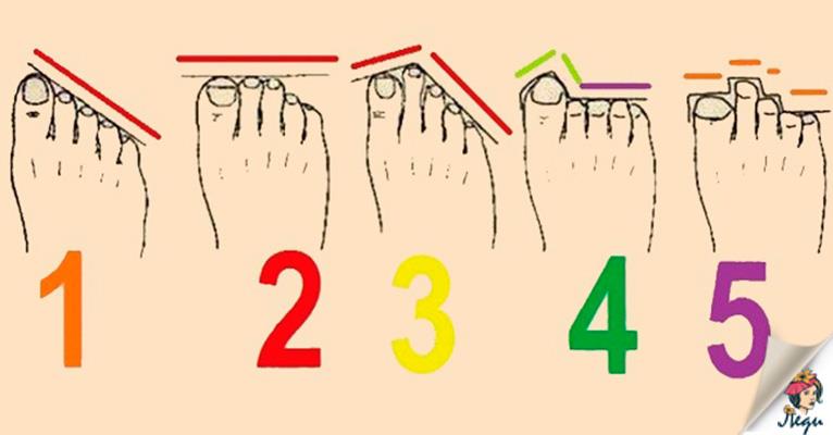 Тест «Какой у вас характер, расскажут пальцы ног»