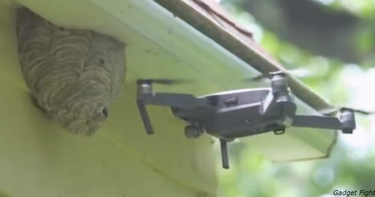 Поединок осиного гнезда и дрона попал на видео в Китае! Только взгляните