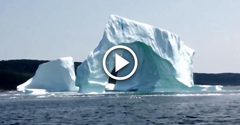 Девушка снимала айсберг, через минуту она кричала от ужаса…. Внимание на 0:16