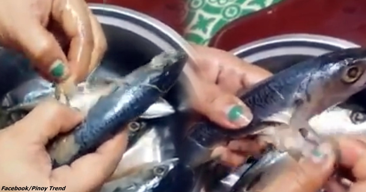 В Китае научились подделывать даже рыбу! Смотрите: чешуя   пластиковая!