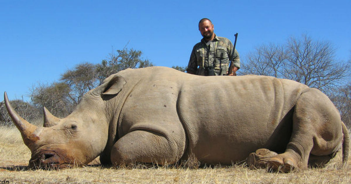Через 20 лет не останется ни одного носорога. Они просто исчезнут!