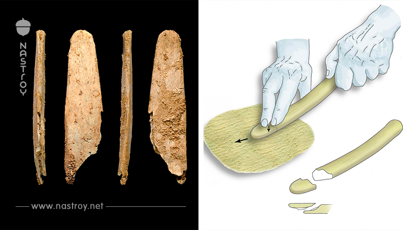 В сети рассказали об инструменте, который был создан 50 тысяч лет назад. Но используется по сей день!