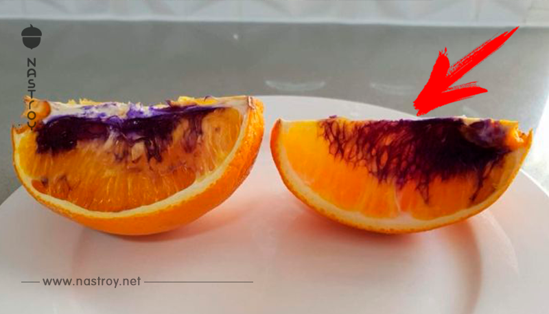 Австралийка нарезала апельсин, а наутро на нём появились фиолетовые пятна. Экспертиза всё прояснила