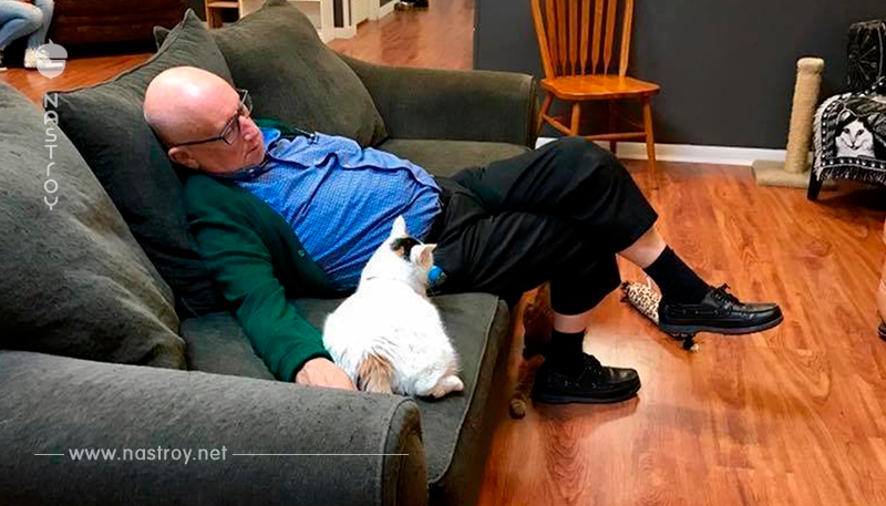 75 летний дед каждый день ходит в кошачий приют, чтобы подарить животным свое тепло