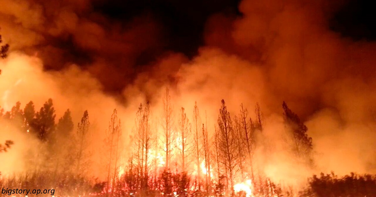 Американские богачи нанимают ″частных пожарных″, пока остальная Калифорния объята огнем