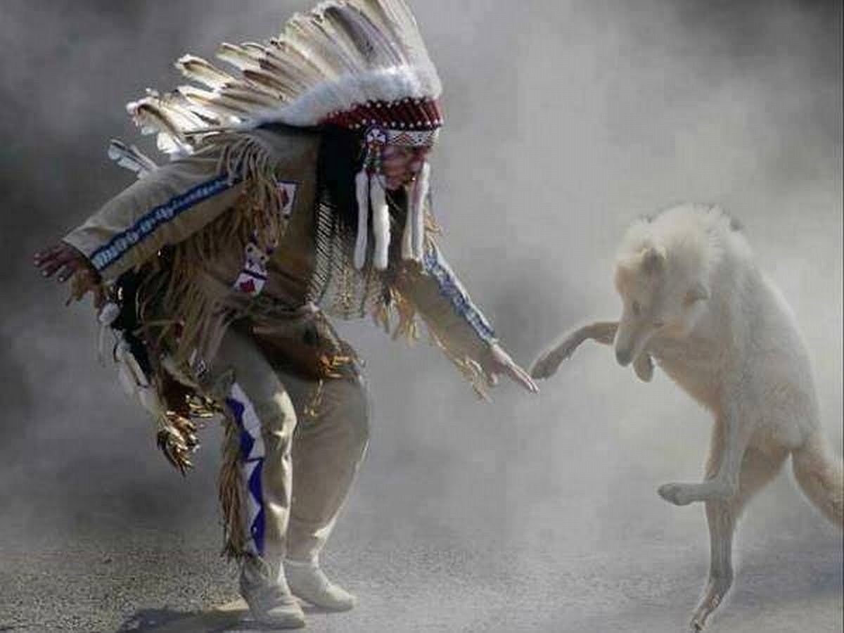 Танцующий волк песня. Индеец танцует с волком. Танцующий с волками индейцы. Индеец шаман. Танцующий индейский шаман.