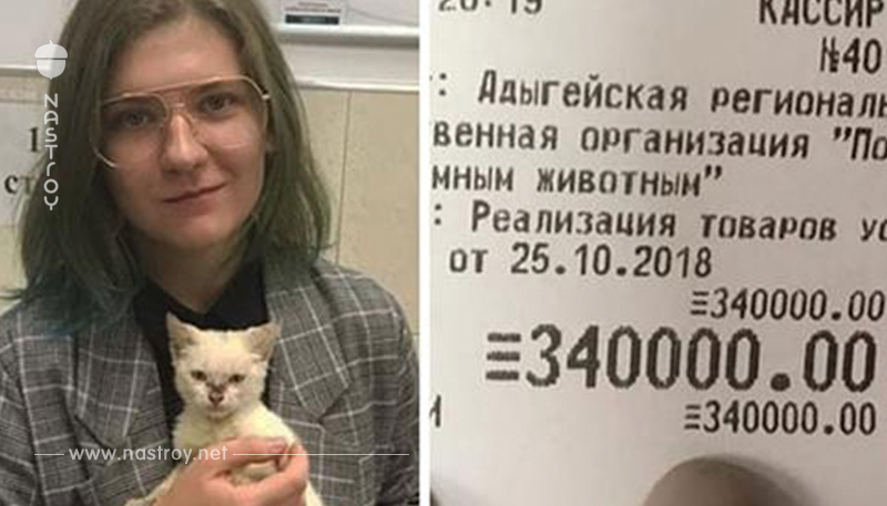 Студентка из Адыгеи оплатила долг приюта в 340 тысяч, чтобы отдать туда котёнка, которого нашла на улице
