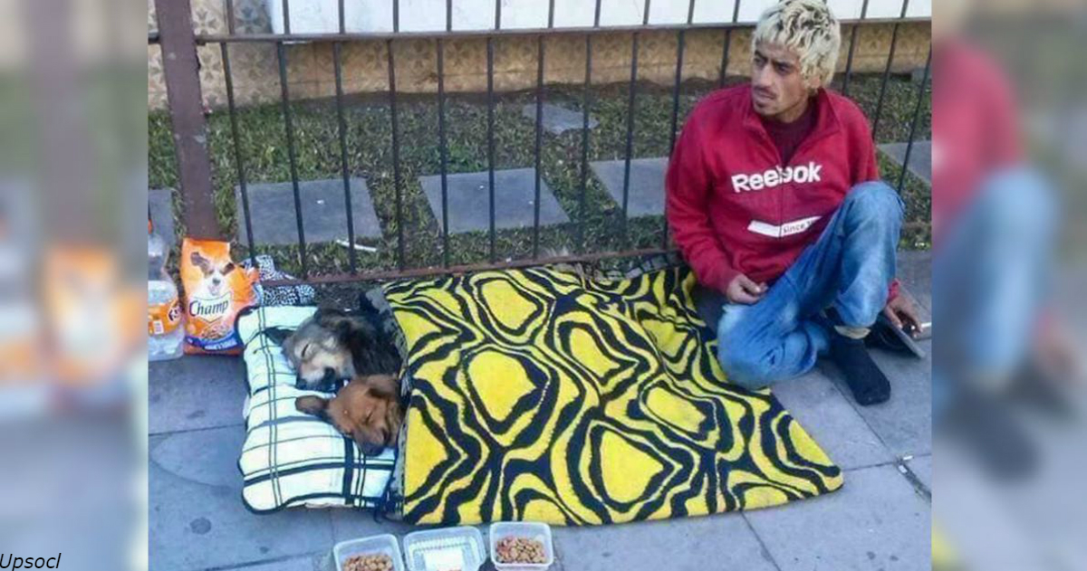 Их богатство   в их сердцах: 15 бездомных, которые собакам отдали все