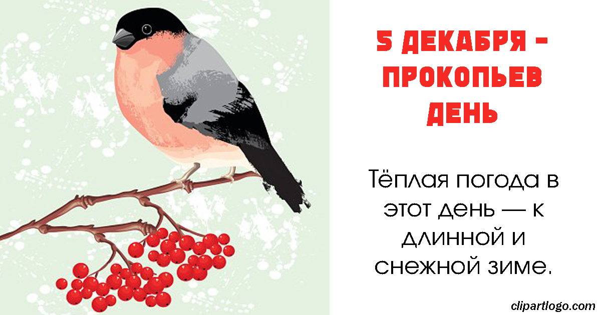 Приметы на декабрь 2023 года. Прокопьев день 5 декабря. Народный календарь 5декбря. Народный праздник Прокопьев день. Народный календарь Прокопьев день.