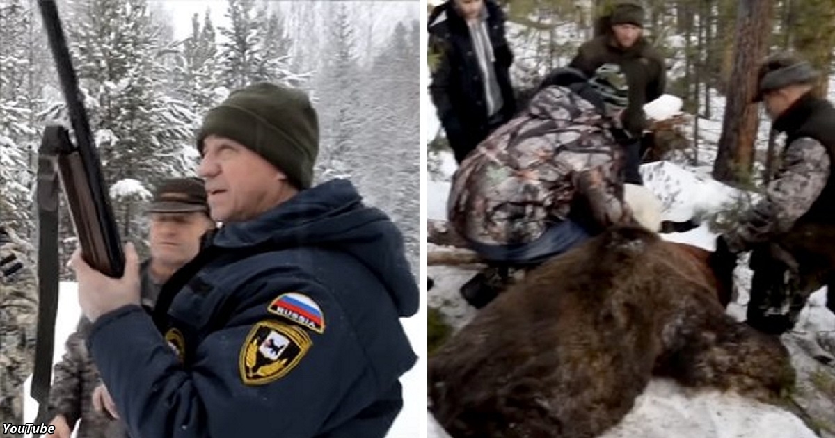 Иркутский губернатор застрелил на охоте спящего медведя. Есть даже видео
