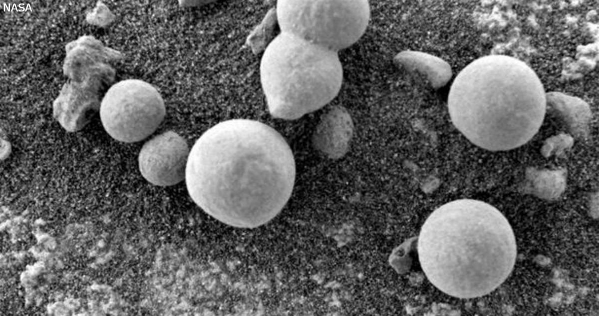 Марсоход NASA нашел на Марсе грибы! Значит, жизнь там все таки есть
