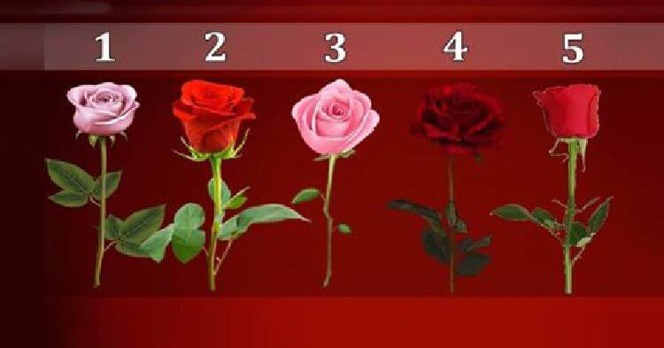 Тест: роза, которую вы выбрали расскажет, когда сбудется ваше желание!