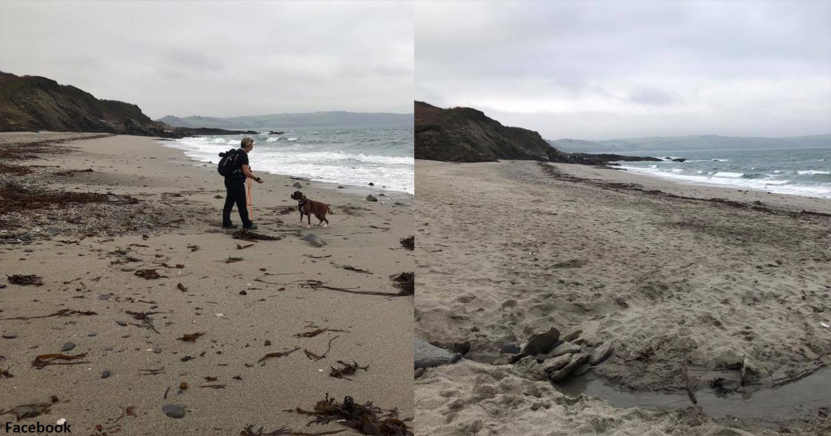 70 летняя бабушка сама почистила 52 пляжа за год! Вот как это было