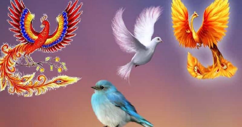 Птица Счастья поведает, какой подарок Судьбы ожидает вас в будущем