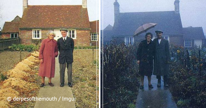Эта пара на протяжении 12 лет делала одинаковые фото в своем саду, но на последнем снимке мужчина уже один