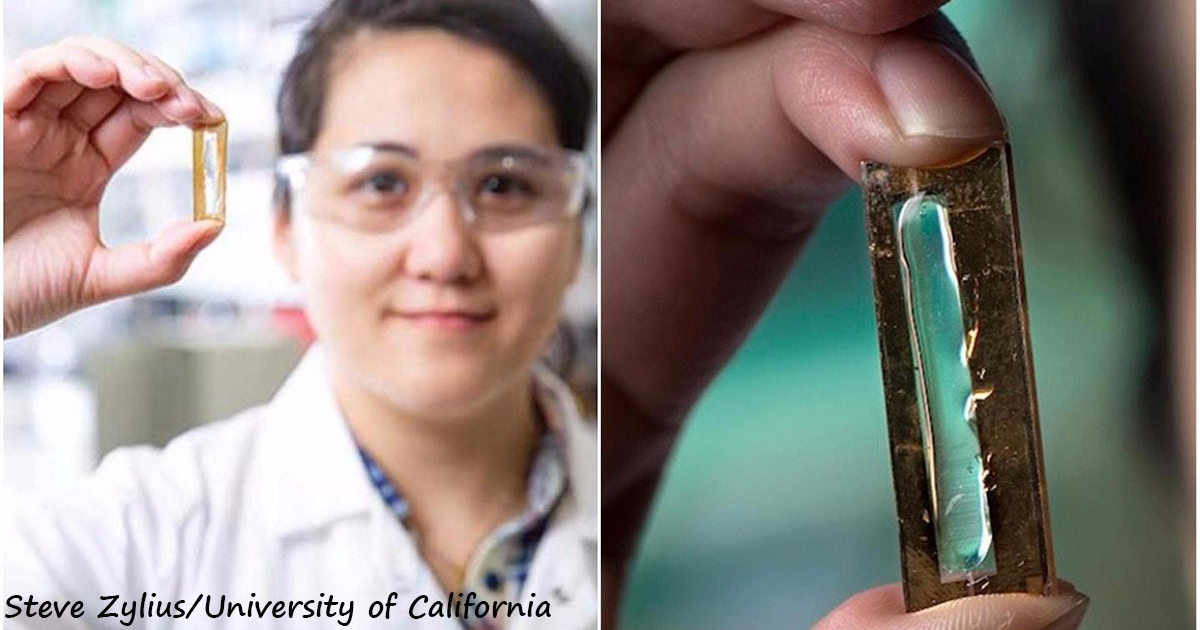 Студентка случайно создал аккумулятор, который мог бы работать 400 лет