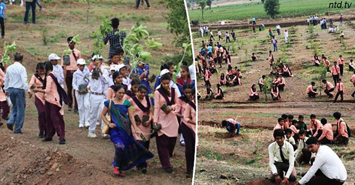 1,5 миллиона индийцев посадили 66 млн деревьев за 12 часов   и побили рекорд!